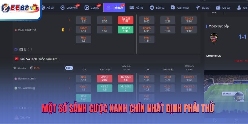 Một số sảnh cược xanh chín nhất định phải thử